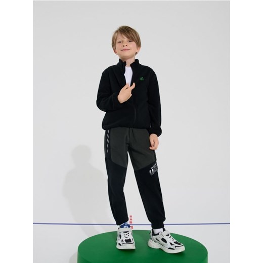 Sinsay - Spodnie polarowe Active - szary ze sklepu Sinsay w kategorii Spodnie chłopięce - zdjęcie 187297196