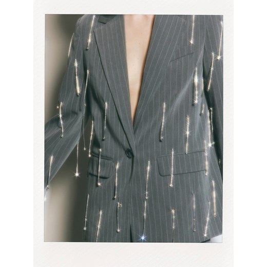 Reserved - Marynarka z ozdobną aplikacją - jasnoszary ze sklepu Reserved w kategorii Marynarki damskie - zdjęcie 187298135