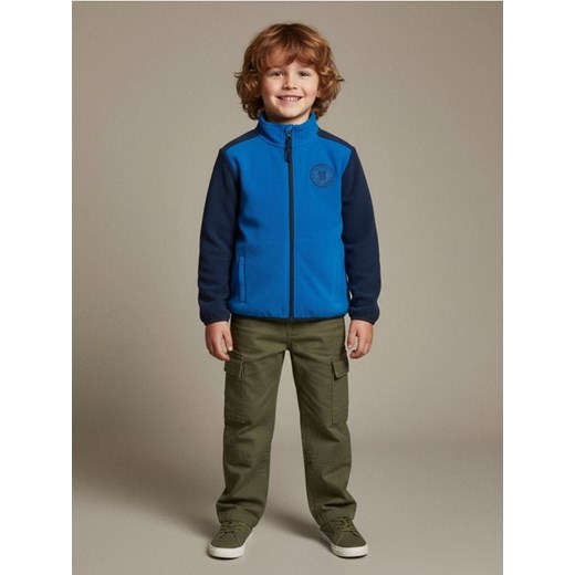 Sinsay - Polarowa bluza ze stójką Active - granatowy ze sklepu Sinsay w kategorii Bluzy chłopięce - zdjęcie 187333288