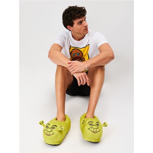 Sinsay - Kapcie z haftem Shrek - zielony ze sklepu Sinsay w kategorii Kapcie męskie - zdjęcie 187348307