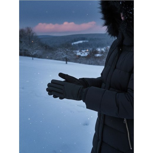 Sinsay - Rękawiczki - czarny ze sklepu Sinsay w kategorii Rękawiczki damskie - zdjęcie 187348366