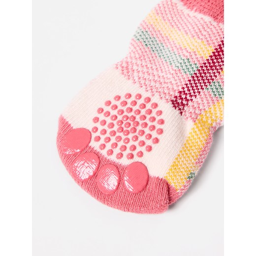 Mohito - Skarpetki dla psa - wielobarwny Mohito L Mohito