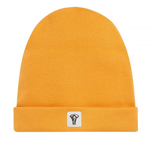 Czapka sci SAFARI pomarańczowy 74/80 ze sklepu lenaodniemowlakadoszkolniaka.pl w kategorii Czapki dziecięce - zdjęcie 187402379