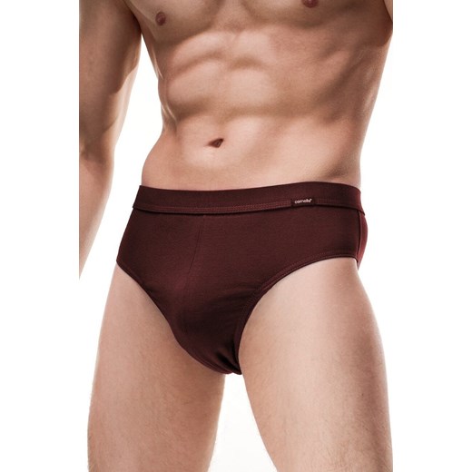 Slipy majtki męskie Authentic ze sklepu lenaodniemowlakadoszkolniaka.pl w kategorii Majtki męskie - zdjęcie 187414415