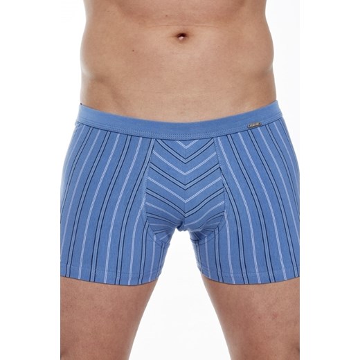 Bokserki majtki męskie VARIOUS Mini 228/133 ze sklepu lenaodniemowlakadoszkolniaka.pl w kategorii Majtki męskie - zdjęcie 187417827