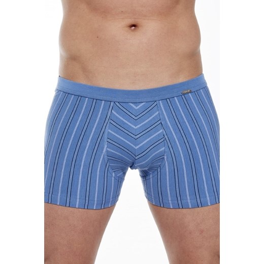 Bokserki majtki męskie VARIOUS Mini 228/132 ze sklepu lenaodniemowlakadoszkolniaka.pl w kategorii Majtki męskie - zdjęcie 187429718