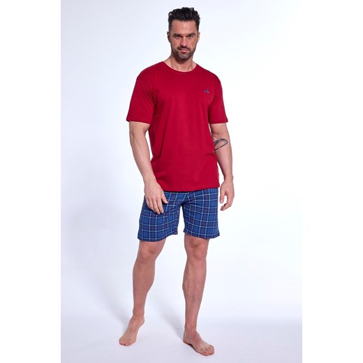 Piżama 326/285 Derby 3 piżama męska ze sklepu lenaodniemowlakadoszkolniaka.pl w kategorii Piżamy męskie - zdjęcie 187450667