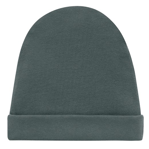 CZAPKA SCI LE TIGRE zielony 110 do 122 ze sklepu lenaodniemowlakadoszkolniaka.pl w kategorii Czapki dziecięce - zdjęcie 187469475