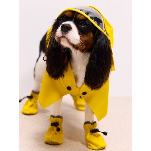 Mohito - Peleryna przeciwdeszczowa dla psa - żółty ze sklepu Mohito w kategorii Dla zwierząt - zdjęcie 187472448