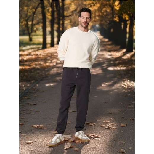 Sinsay - Spodnie - szary ze sklepu Sinsay w kategorii Spodnie męskie - zdjęcie 187479295