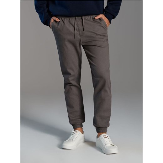 Sinsay - Spodnie jogger - szary ze sklepu Sinsay w kategorii Spodnie męskie - zdjęcie 187487537