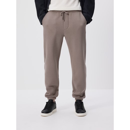 Reserved - Spodnie dresowe regular fit - szary ze sklepu Reserved w kategorii Spodnie męskie - zdjęcie 187514598