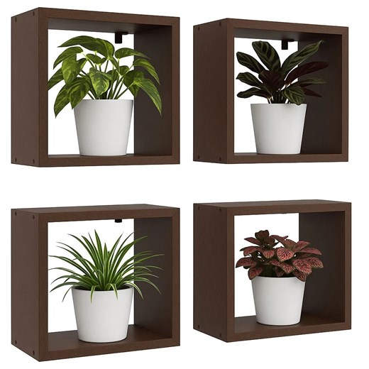 Kwadratowe półki wiszące na kwiaty wenge Z2-G98 ze sklepu Edinos.pl w kategorii Półki - zdjęcie 187520737