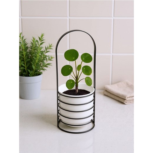 Sinsay - Metalowy kwietnik - czarny ze sklepu Sinsay w kategorii Dom - zdjęcie 187581098