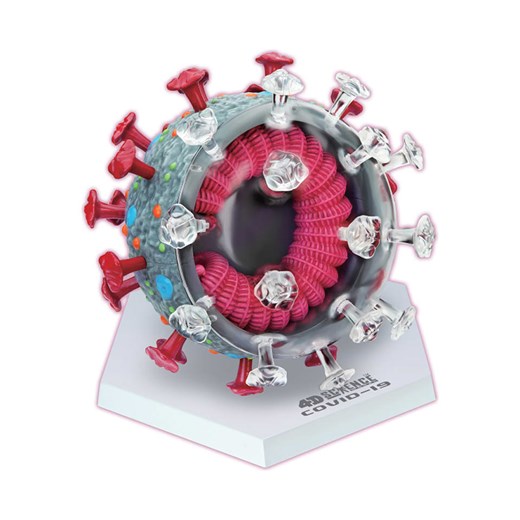 MGM 50-częściowy zestaw naukowy &quot;Covid 19&quot; - 8+ ze sklepu Limango Polska w kategorii Zabawki - zdjęcie 187593409