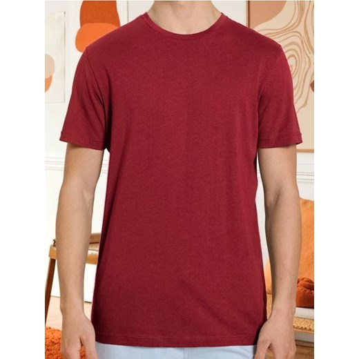 Sinsay - Bawełniana koszulka z krótkim rękawem - czerwony ze sklepu Sinsay w kategorii T-shirty męskie - zdjęcie 187600897