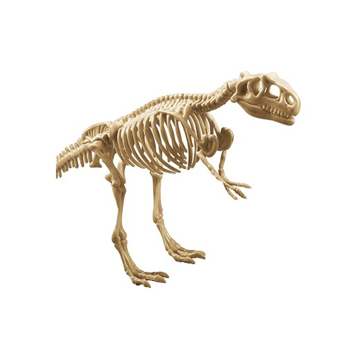 Explora Zestaw do eksperymentów archeologicznych - 5+ ze sklepu Limango Polska w kategorii Zabawki - zdjęcie 187601138