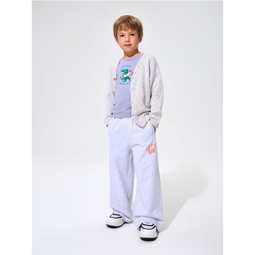 Sinsay - Spodnie dresowe Wide leg - szary ze sklepu Sinsay w kategorii Spodnie chłopięce - zdjęcie 187615366