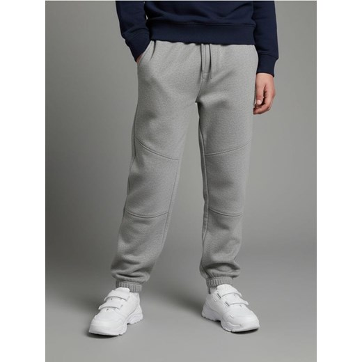 Sinsay - Spodnie dresowe jogger - szary ze sklepu Sinsay w kategorii Spodnie chłopięce - zdjęcie 187615449