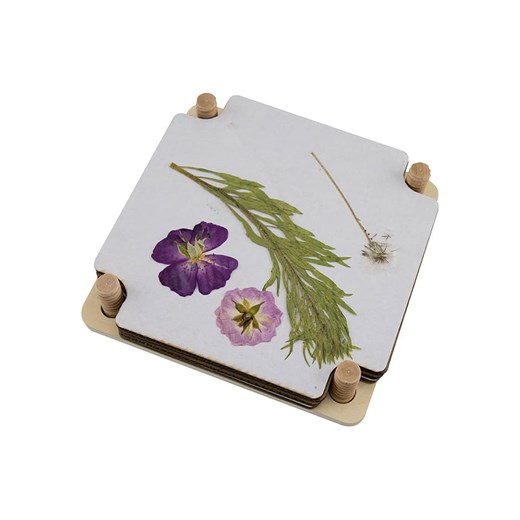 BLS Praska do odbijania kwiatów - 15 x 15 cm ze sklepu Limango Polska w kategorii Zabawki - zdjęcie 187716917