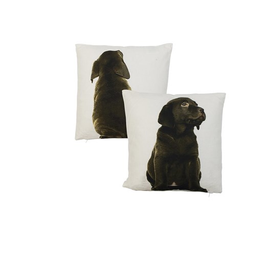 Mars &amp; More Poduszka &quot;Labrador&quot; w kolorze brązowo-białym - 33 x 33 cm ze sklepu Limango Polska w kategorii Poduszki dekoracyjne - zdjęcie 187765878