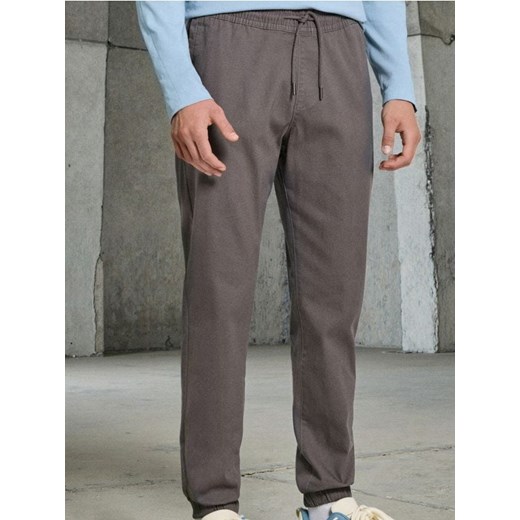 Sinsay - Spodnie jogger - szary ze sklepu Sinsay w kategorii Spodnie męskie - zdjęcie 187766188