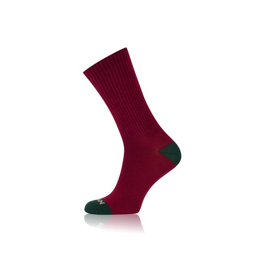 Skarpetki długie S187D LABRADOR ze sklepu italianfashion w kategorii Skarpetki dziecięce - zdjęcie 187780206