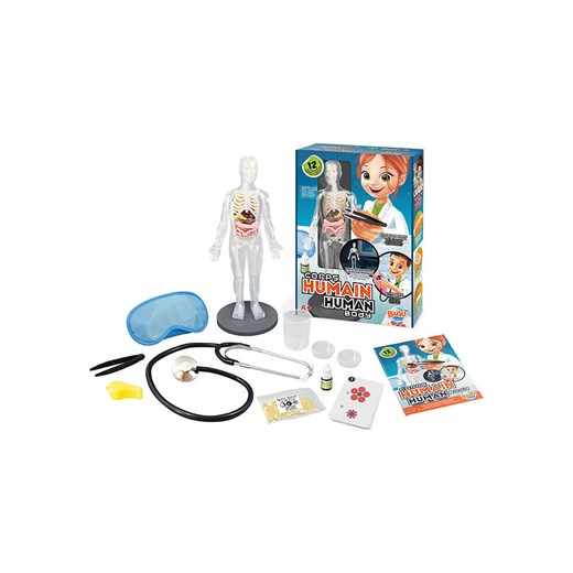 BUKI Model ciała - 8+ ze sklepu Limango Polska w kategorii Zabawki - zdjęcie 187793589