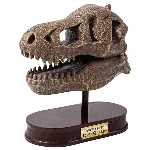 BUKI Zestaw odkrywcy &quot;Museum Skull - T-Rex&quot; - 8+ Buki onesize Limango Polska