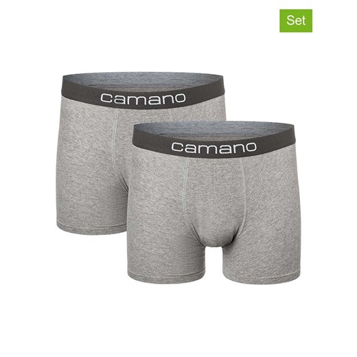 camano Bokserki (2 pary) w kolorze szarym ze sklepu Limango Polska w kategorii Majtki męskie - zdjęcie 187813779