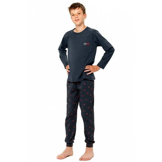 Taro Eric 3316 piżama chłopięca ze sklepu intimiti.pl w kategorii Piżamy dziecięce - zdjęcie 187883146