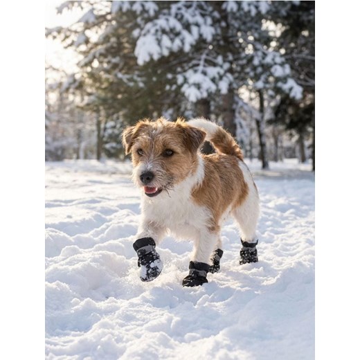 Sinsay - Buty dla psa - czarny ze sklepu Sinsay w kategorii Dla zwierząt - zdjęcie 187928065