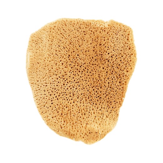 Lullalove Gąbka naturalna w kolorze żółtym Lullalove onesize promocja Limango Polska