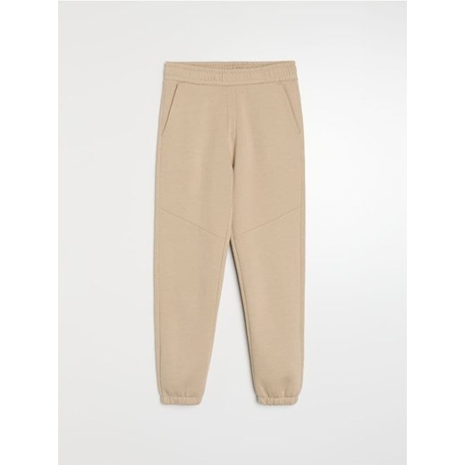 Sinsay - Spodnie dresowe regular fit - beżowy ze sklepu Sinsay w kategorii Spodnie męskie - zdjęcie 188634048