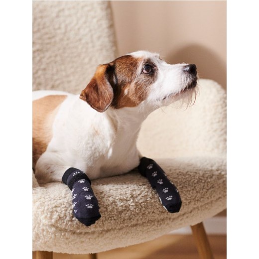 Sinsay - Zestaw skarpetek dla psa - czarny Sinsay One Size Sinsay