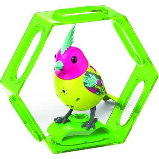 DigiBirds, ptaszek Neon z ramką - Odzież dziecięca w promocji 3za2! empik zielony 