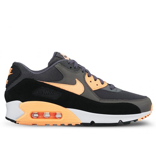Buty Wmns Nike Air Max 90 Essential szare 616730-021