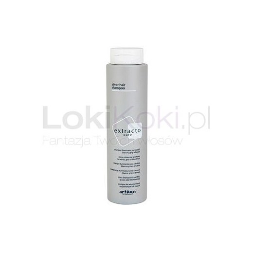 Extracto Care szampon do włosów rozjaśnianych i siwych 300 ml Artego 