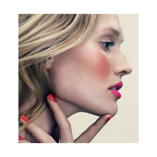 Bourjois Blush Róż Do Policzków 10 CHATAIGNE DORE Bourjois bezowy Nocanka Drogeria Internetowa