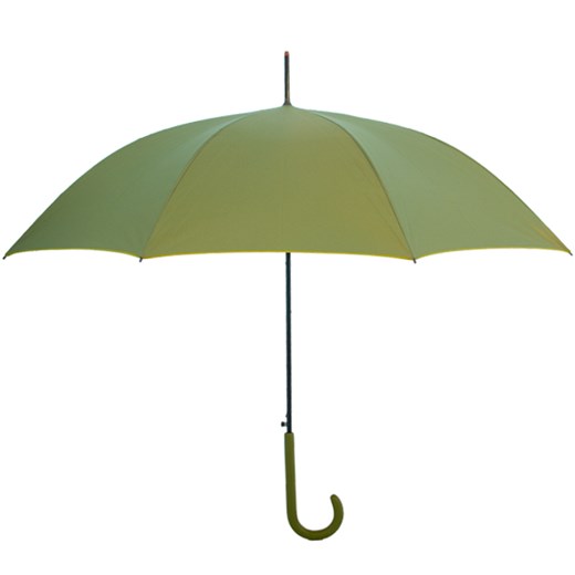 Zielony parasol z motylkiem