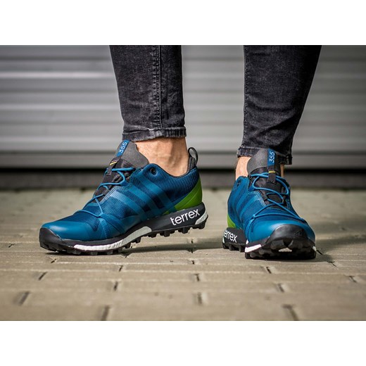 Buty męskie Buty Terrex Agravic GTX AQ4073 bezowy Escoli 42, 42 2/3, 43 1/3, 44, 44 2/3, 46