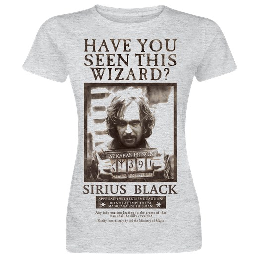 Harry Potter - Have you seen this wizard? - T-Shirt - odcienie jasnoszarego