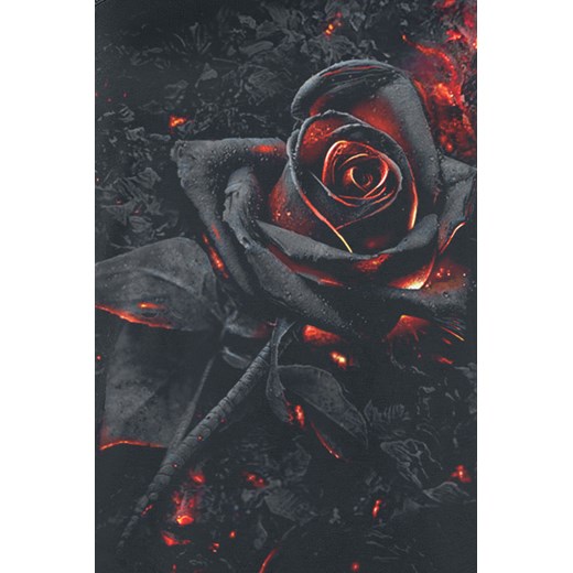 Spiral - Burnt Rose - Top - czarny
