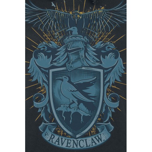 Harry Potter Ravenclaw Bluza z kapturem damska czarny Harry Potter  S EMP
