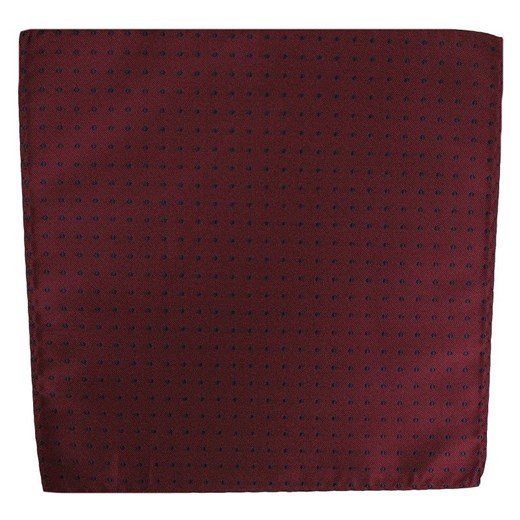 Elegancka poszetka - Alties POSZALTTANIA0053 JegoSzafa.pl