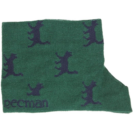 skarpety cats zielony  Recman 38-40 