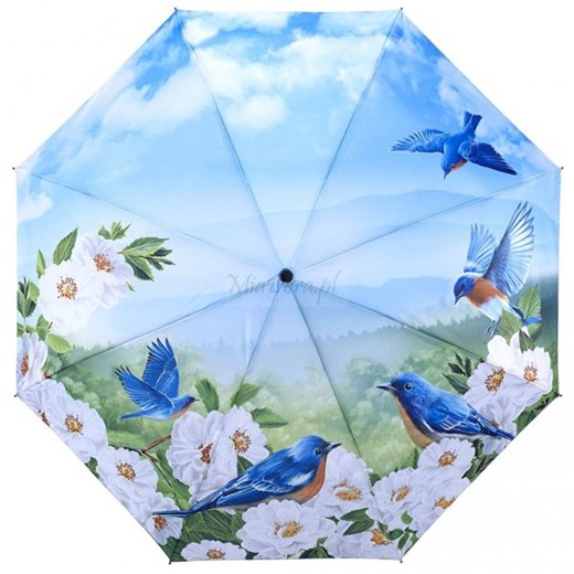 Niebieskie ptaszki - parasolka składana Galleria  Galleria  Parasole MiaDora.pl
