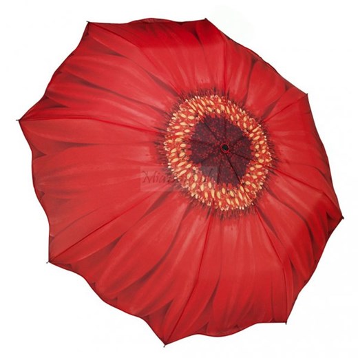 Red Daisy - czerwona gerbera - parasolka składana Galleria