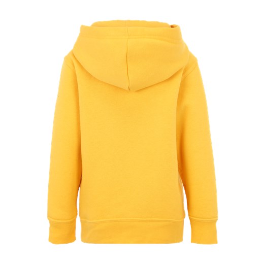 Bluza