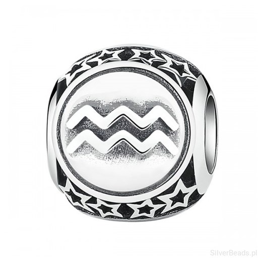 D837 Wodnik zodiak charms koralik beads srebro 925